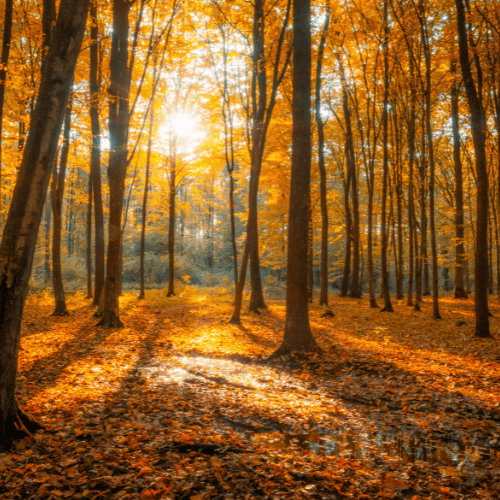 Landfill Tax and the 2025 Budget: What It Means for Shredding and Recycling